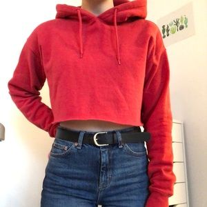 Urban Outfitters Cropped Hoodie